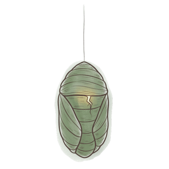 Tratamiento de Depresión